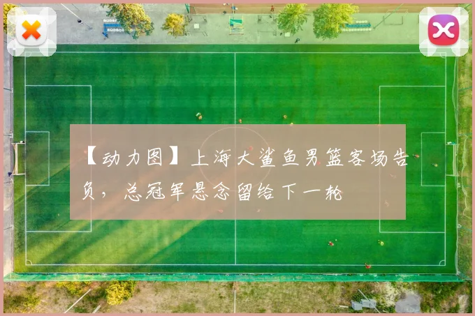 【动力图】上海大鲨鱼男篮客场告负，总冠军悬念留给下一轮