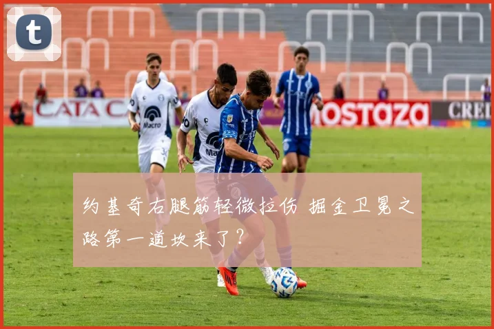 约基奇右腿筋轻微拉伤 掘金卫冕之路第一道坎来了？